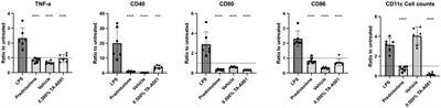 Novel micellar CB2 receptor agonist with anti-inflammatory action for treating corneal alkali burns in a mouse model